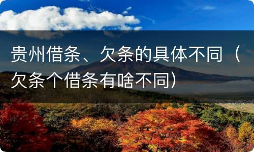 贵州借条、欠条的具体不同（欠条个借条有啥不同）