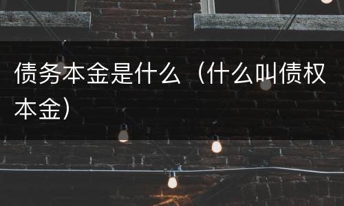 债务本金是什么（什么叫债权本金）