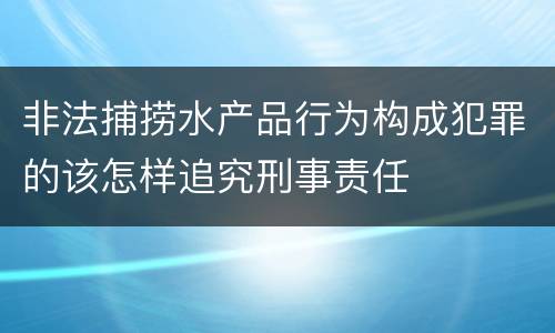 非法捕捞水产品行为构成犯罪的该怎样追究刑事责任