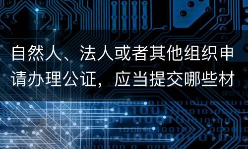 自然人、法人或者其他组织申请办理公证，应当提交哪些材料