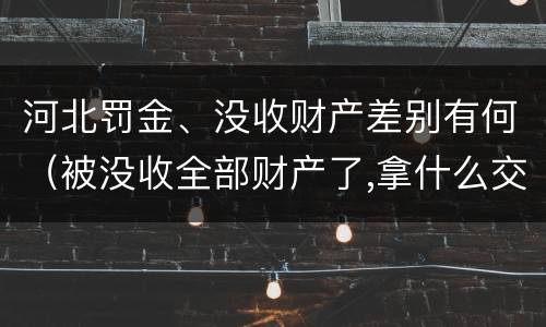 河北罚金、没收财产差别有何（被没收全部财产了,拿什么交罚金）