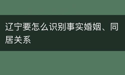 辽宁要怎么识别事实婚姻、同居关系