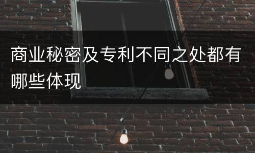 商业秘密及专利不同之处都有哪些体现