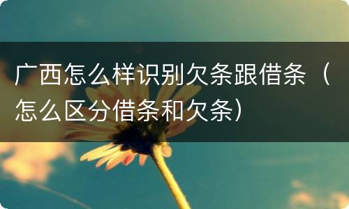 广西怎么样识别欠条跟借条（怎么区分借条和欠条）