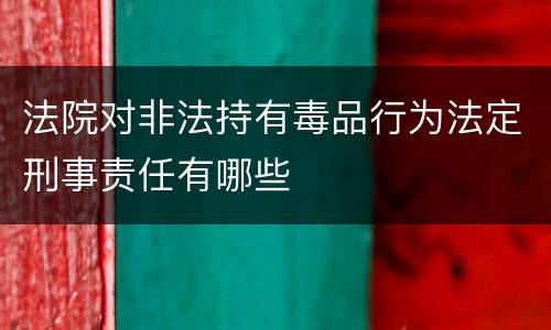 法院对非法持有毒品行为法定刑事责任有哪些