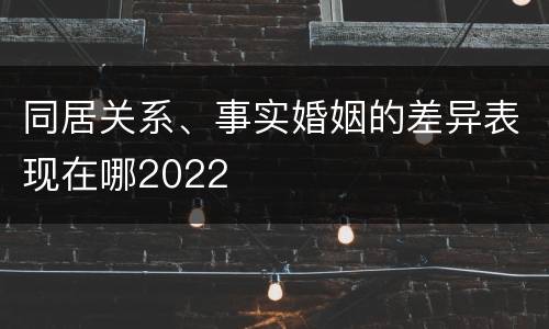 同居关系、事实婚姻的差异表现在哪2022