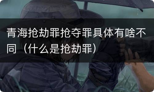 青海抢劫罪抢夺罪具体有啥不同（什么是抢劫罪）