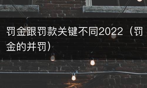罚金跟罚款关键不同2022（罚金的并罚）