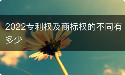 2022专利权及商标权的不同有多少