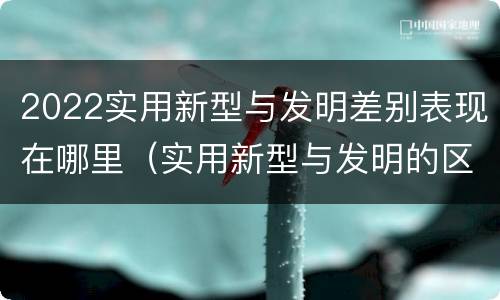 2022实用新型与发明差别表现在哪里（实用新型与发明的区别有哪些）
