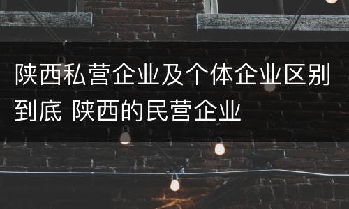 陕西私营企业及个体企业区别到底 陕西的民营企业