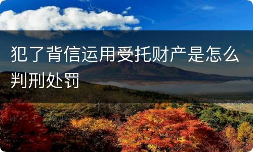 犯了背信运用受托财产是怎么判刑处罚
