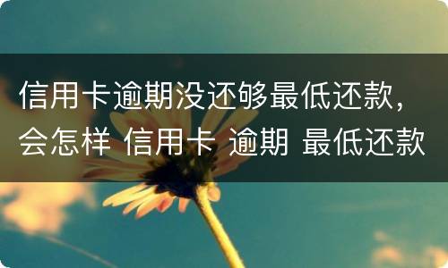 信用卡逾期没还够最低还款，会怎样 信用卡 逾期 最低还款