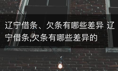 辽宁借条、欠条有哪些差异 辽宁借条,欠条有哪些差异的