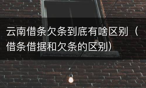 云南借条欠条到底有啥区别（借条借据和欠条的区别）