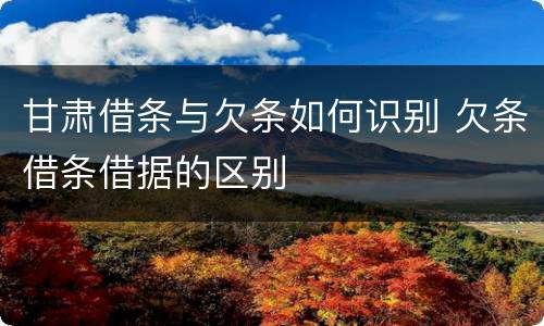 甘肃借条与欠条如何识别 欠条借条借据的区别