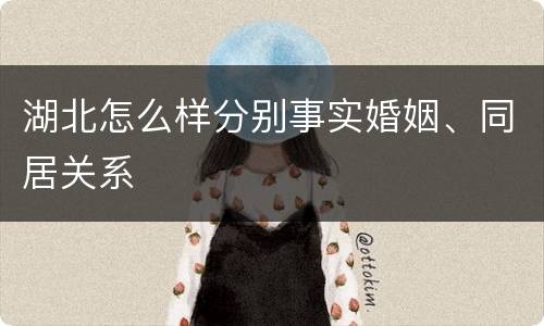 湖北怎么样分别事实婚姻、同居关系