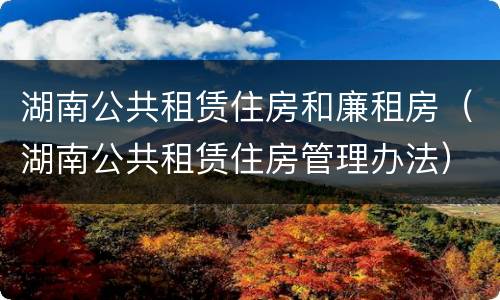 湖南公共租赁住房和廉租房（湖南公共租赁住房管理办法）