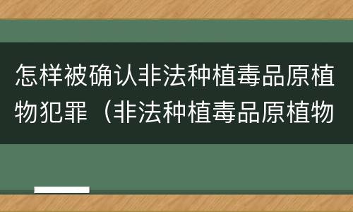 怎样被确认非法种植毒品原植物犯罪（非法种植毒品原植物罪情节严重）