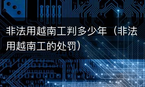 非法用越南工判多少年（非法用越南工的处罚）