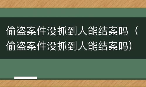 偷盗案件没抓到人能结案吗（偷盗案件没抓到人能结案吗）