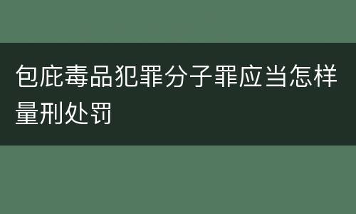 包庇毒品犯罪分子罪应当怎样量刑处罚