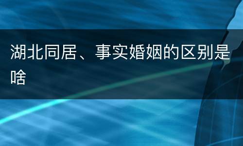 湖北同居、事实婚姻的区别是啥