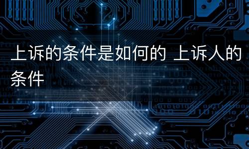 上诉的条件是如何的 上诉人的条件