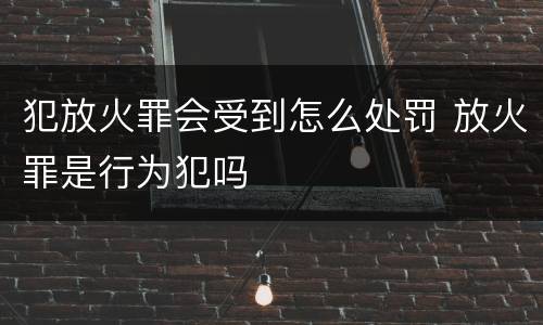 犯放火罪会受到怎么处罚 放火罪是行为犯吗