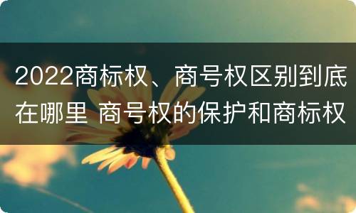 2022商标权、商号权区别到底在哪里 商号权的保护和商标权的保护一样是全国性范围的