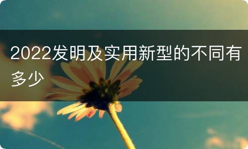 2022发明及实用新型的不同有多少