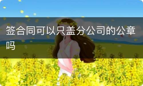签合同可以只盖分公司的公章吗