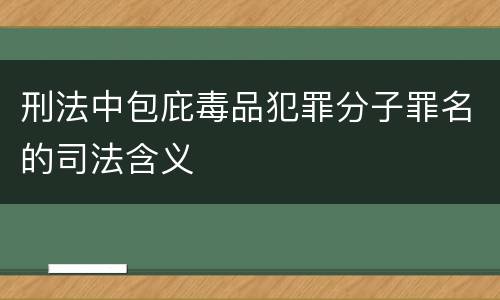 刑法中包庇毒品犯罪分子罪名的司法含义