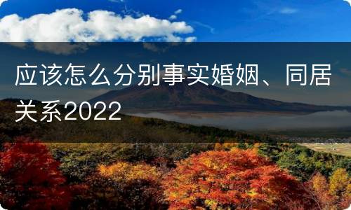应该怎么分别事实婚姻、同居关系2022