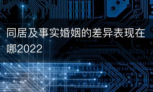 同居及事实婚姻的差异表现在哪2022