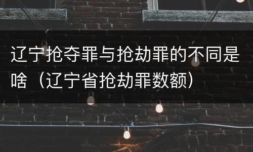 辽宁抢夺罪与抢劫罪的不同是啥（辽宁省抢劫罪数额）