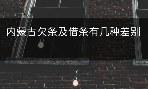 内蒙古欠条及借条有几种差别