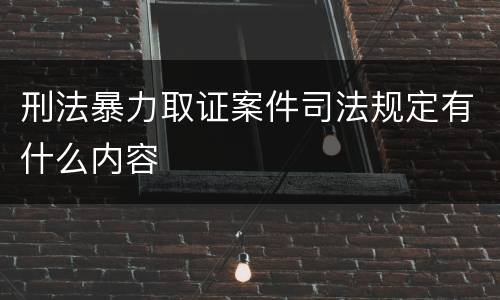 刑法暴力取证案件司法规定有什么内容
