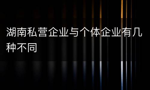 湖南私营企业与个体企业有几种不同