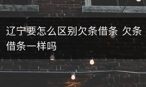 辽宁要怎么区别欠条借条 欠条借条一样吗