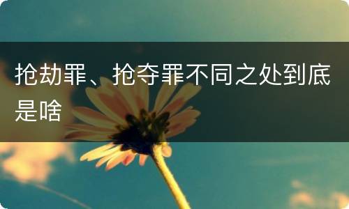 抢劫罪、抢夺罪不同之处到底是啥