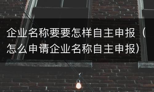 企业名称要要怎样自主申报（怎么申请企业名称自主申报）