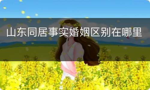 山东同居事实婚姻区别在哪里