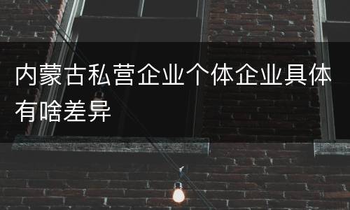 内蒙古私营企业个体企业具体有啥差异