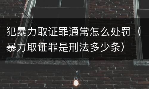 犯暴力取证罪通常怎么处罚（暴力取证罪是刑法多少条）