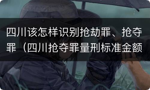 四川该怎样识别抢劫罪、抢夺罪（四川抢夺罪量刑标准金额）