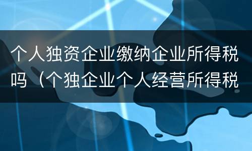 个人独资企业缴纳企业所得税吗（个独企业个人经营所得税怎么缴纳）