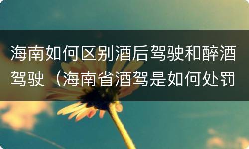 海南如何区别酒后驾驶和醉酒驾驶（海南省酒驾是如何处罚的）