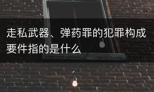 走私武器、弹药罪的犯罪构成要件指的是什么