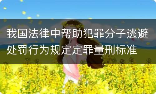 我国法律中帮助犯罪分子逃避处罚行为规定定罪量刑标准